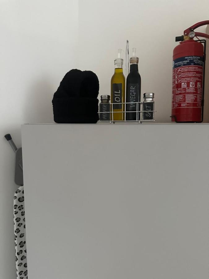 Klimatisiertes Dachgeschoss City Apartment In Zentrum Wiens Zewnętrze zdjęcie